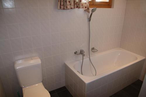 韦松纳Meinaz QUIET & SUNNY apartments的带浴缸、卫生间和淋浴的浴室。