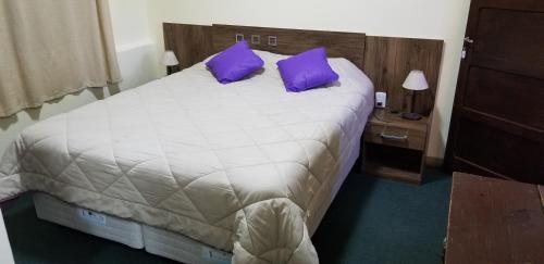 特立尼达岛Hotel Trinidad的一间卧室配有一张带紫色枕头的大床