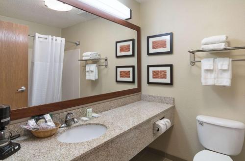巴伯斯维尔Comfort Inn Barboursville near Huntington Mall area的一间带水槽、卫生间和镜子的浴室