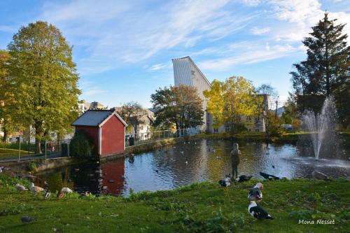 克里斯蒂安桑德Kristiansund Apartments的站在池塘前有鸭子的人