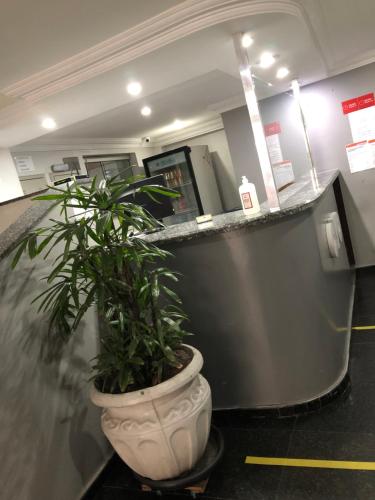 圣保罗Center Plaza Hotel的坐在柜台前的锅里的植物