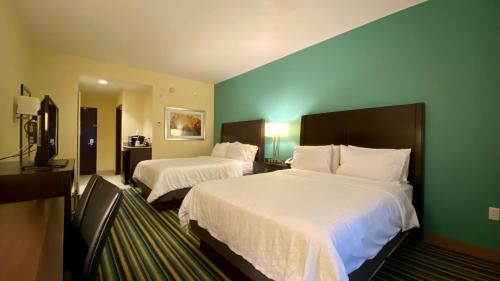 奥兰多奥兰多东智选假日套房酒店的一间酒店客房,设有两张床和绿色的墙壁