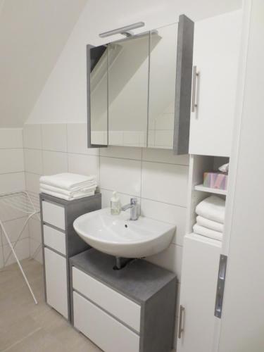 温蒂加斯顿Landhaus Ziegelstadel的浴室配有盥洗盆、镜子和毛巾