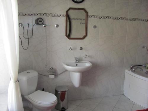 俄斯特拉发Penzion Muraty的一间带卫生间、水槽和镜子的浴室