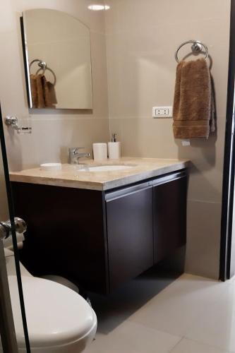 圣克鲁斯Elegante apartamento en Condominio Baruc II的一间带水槽、卫生间和镜子的浴室