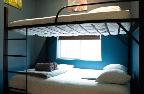 圣地亚哥California Dreams Hostel - Pacific Beach的一间卧室设有两张双层床和一扇窗户。