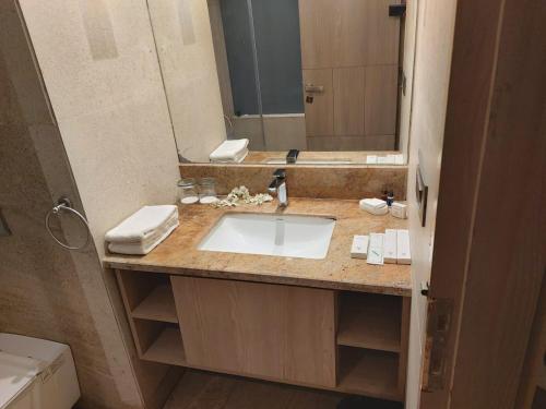 新德里提沃里格兰德度假酒店的一间带水槽和大镜子的浴室