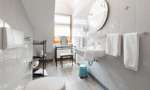 Sarnau布鲁登乡村旅馆的一间带水槽、卫生间和镜子的浴室