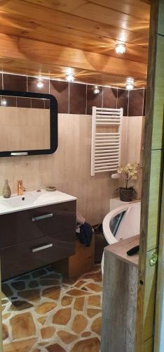 Saint-Dalmas-le-SelvageLe Havre de paix的一间带水槽、浴缸和镜子的浴室