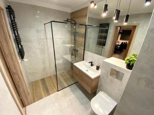 什奇特诺Apartament z Ogródkiem Szczytno Mazury的带淋浴、盥洗盆和卫生间的浴室