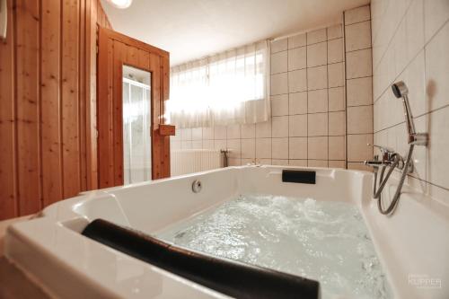 马尔梅迪Le Milan Royal 26 pers, Malmedy, Balnéo, vue, calme的浴室内配有水浴缸