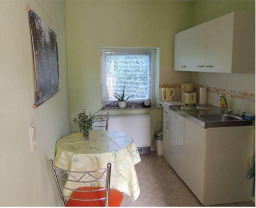 拉德博伊尔Pension-Kleint-Wohnung-1的一个带桌子和水槽的小厨房