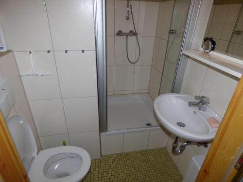 坡瑟利特兹Ferienwohnung-Natur-pur-Wohnung-4的带淋浴、卫生间和盥洗盆的浴室