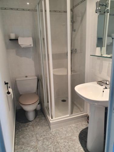 阿尔宗葛兰阿莫尔酒店的带淋浴、卫生间和盥洗盆的浴室