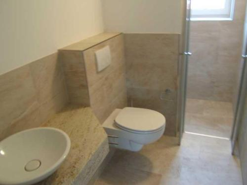 青斯特Piratennest-1的浴室配有卫生间、盥洗盆和淋浴。