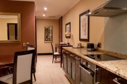 约翰内斯堡拉斐尔套房公寓的厨房配有水槽和台面