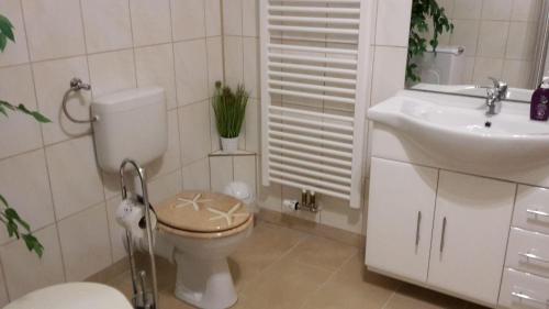 FlöhaHaus-Sonne的一间带卫生间和水槽的浴室