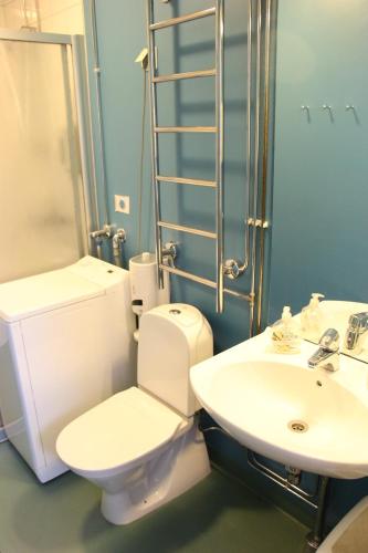 皮耶塔尔萨里Jugend Boutique Guesthome的浴室配有卫生间、盥洗盆和淋浴。