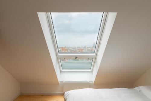 布鲁塞尔Savoie的卧室设有天花板上的大窗户
