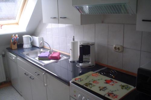 Haus-Everschop的厨房或小厨房