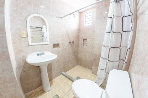 韦拉克鲁斯夏米酒店的一间带水槽、卫生间和淋浴的浴室