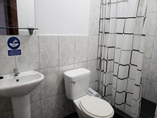 查查波亚斯Shale Hotel的浴室配有白色卫生间和盥洗盆。