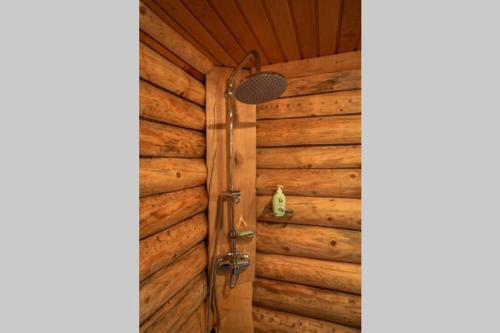 KäinaBaltic Getaway的配有木墙的客房内的淋浴