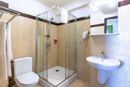Corunca阿莱西亚餐厅酒店的带淋浴、卫生间和盥洗盆的浴室