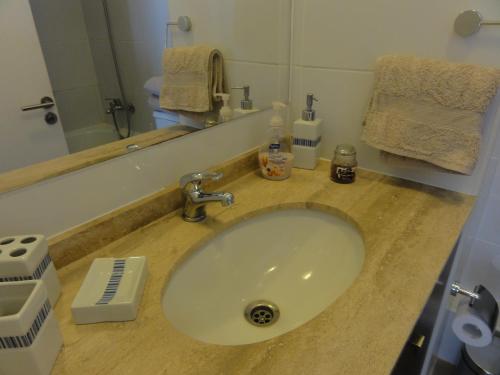 安托法加斯塔斯塔内拉公园公寓的一间带水槽和镜子的浴室