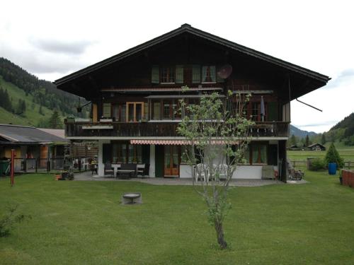 伦克apartment in Lenk in Simmental Bernese Oberland的前面有绿色草坪的大房子