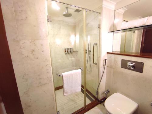 巴罗达Welcomhotel by ITC Hotels, Alkapuri, Vadodara的带淋浴和卫生间的浴室