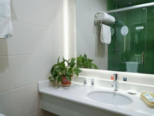 石家庄格林豪泰石家庄桥西区中山路西里街口快捷酒店的浴室设有水槽、镜子和植物