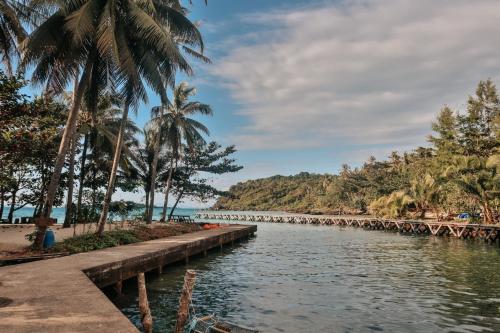 库德岛Baan Rabieng Talay Homestayบ้านระเบียงทะเล โฮมสเตย์เกาะกูด的棕榈树的桥