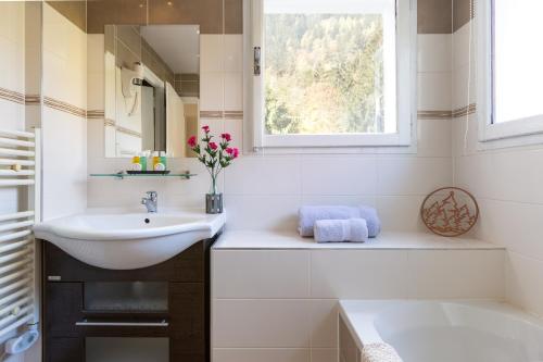 夏蒙尼-勃朗峰Chalet Hôtel La Sapinière的白色的浴室设有水槽和窗户。