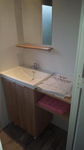 托尔雷莱Mobil Home XXL 4 chambres - Camping Les Tropiques的一间带水槽和镜子的浴室
