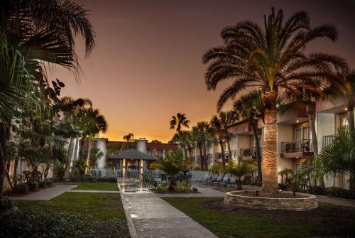 克利尔沃特La Quinta by Wyndham Clearwater Central的庭院中间的棕榈树,有建筑