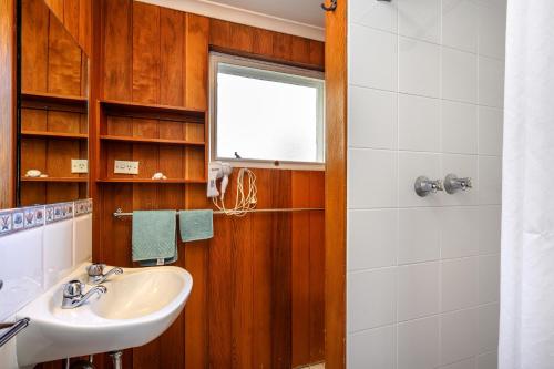 斯瑞德伯卡塞斯公寓山林小屋的一间带水槽、窗户和淋浴的浴室