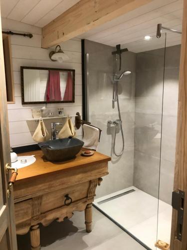 斯帕Chalet du praillage的一间带水槽和淋浴的浴室