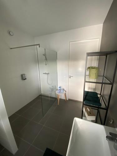 豪达Gouda's Herenhuys的带淋浴和玻璃淋浴间的浴室
