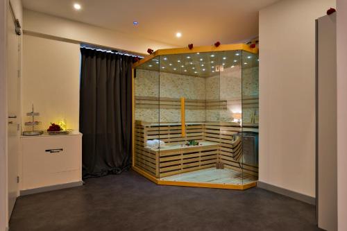 宰斯特Wellness Suite Zeist的一间位于客房内的玻璃淋浴间的浴室