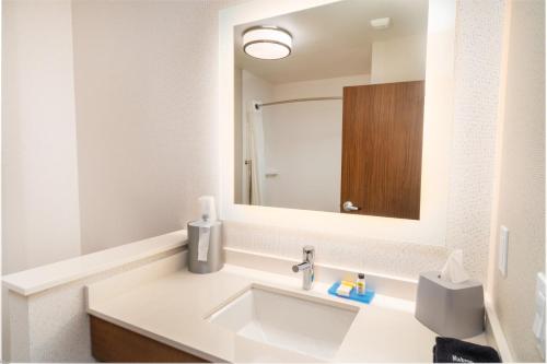 Holiday Inn Express & Suites - Las Vegas - E Tropicana, an IHG Hotel的一间浴室