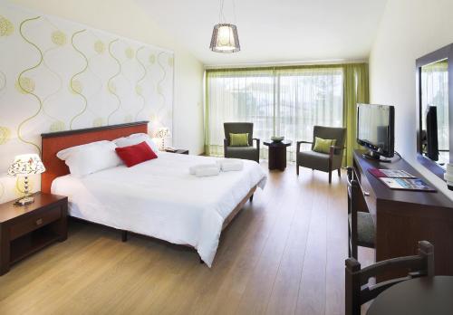 厄瑞米阿芙罗狄蒂倶乐部酒店的一间卧室配有一张床、一张书桌和一台电视