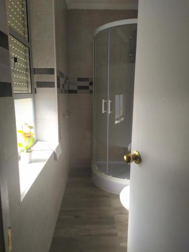 阿尔科斯-德拉弗龙特拉Hostal Andalucia的一间带玻璃淋浴和卫生间的浴室