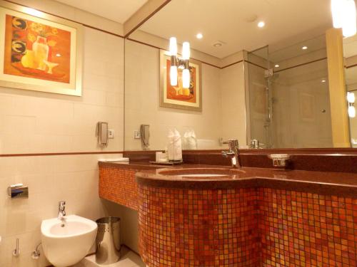 科威特科威特千禧酒店&会议中心的一间带水槽和卫生间的浴室