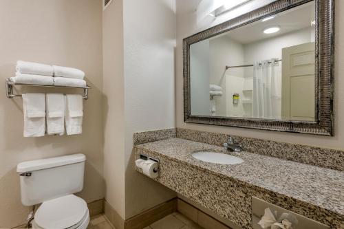 退休小镇村庄智选假日酒店的浴室设有卫生间和带镜子的盥洗盆
