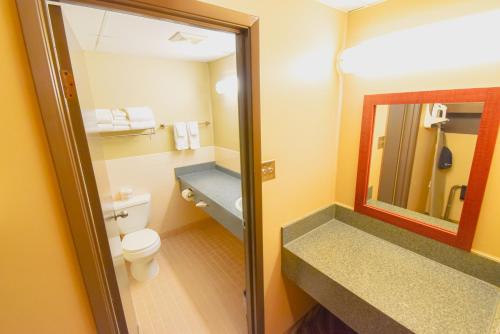温尼伯Canad Inns Destination Centre Garden City的一间带卫生间、水槽和镜子的浴室