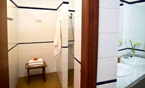 布埃纳维斯塔德尔诺尔特玻丽蔻旅馆的一间带水槽、卫生间和淋浴的浴室