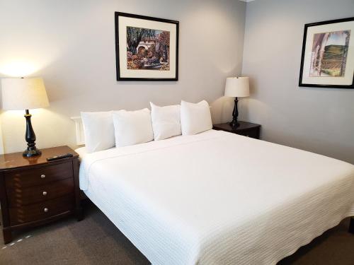 圣地亚哥科罗纳多旅馆的卧室配有一张白色大床和两盏灯。
