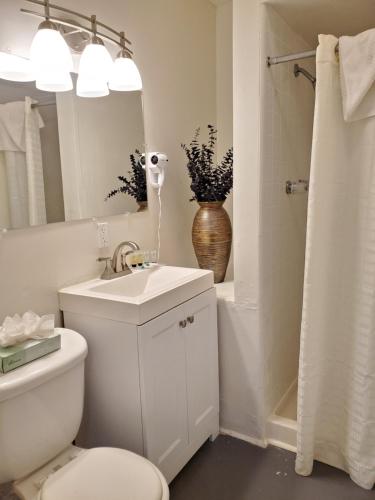 圣地亚哥科罗纳多岛旅馆 的一间带卫生间、水槽和镜子的浴室