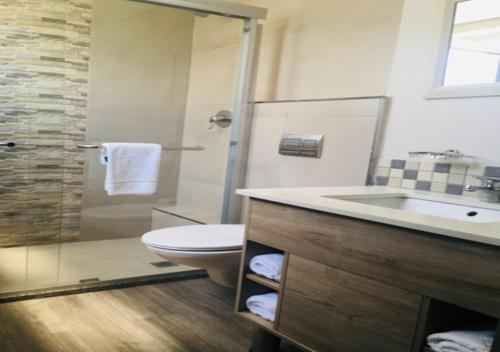 德班Regal Inn North Beach的一间带水槽、卫生间和淋浴的浴室